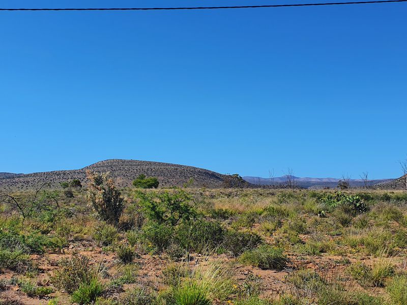 Lovely stand in the beautiful Karoo Town of Willowmore - Photo 4