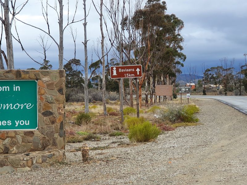 Lovely stand in the beautiful Karoo Town of Willowmore - Photo 8
