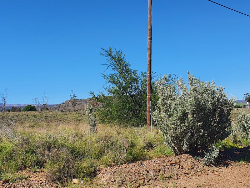 Lovely stand in the beautiful Karoo Town of Willowmore - Photo 6