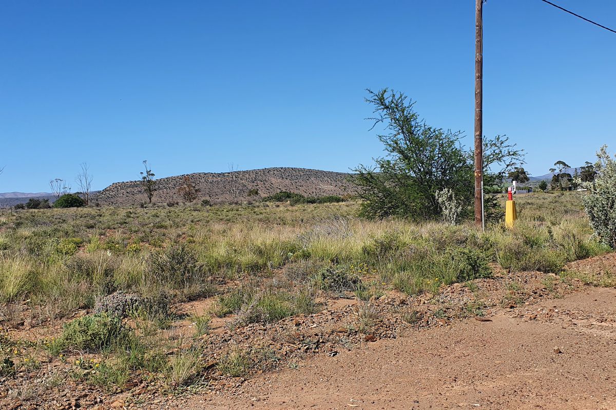 Lovely stand in the beautiful Karoo Town of Willowmore - Photo 5