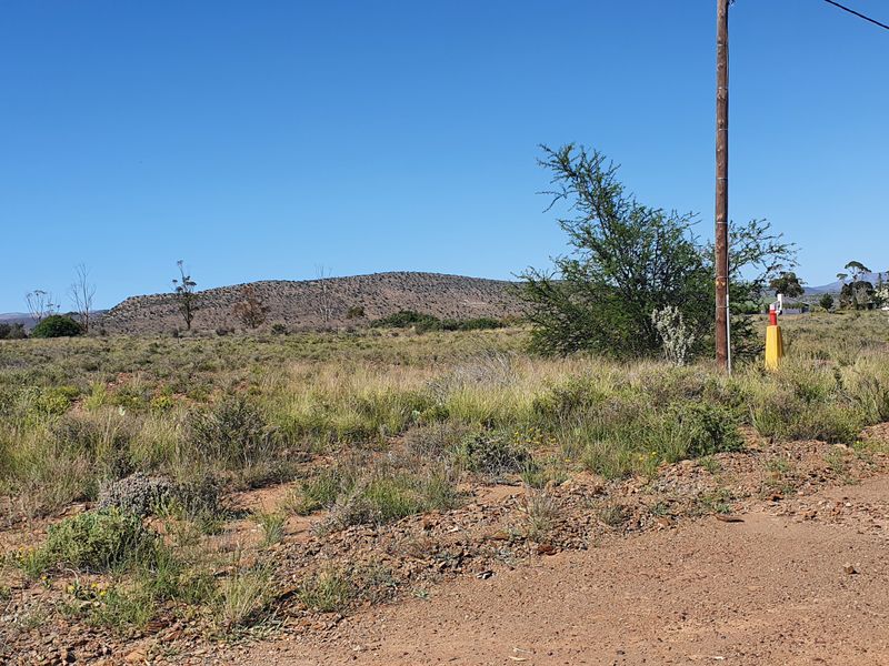 Lovely stand in the beautiful Karoo Town of Willowmore - Photo 5