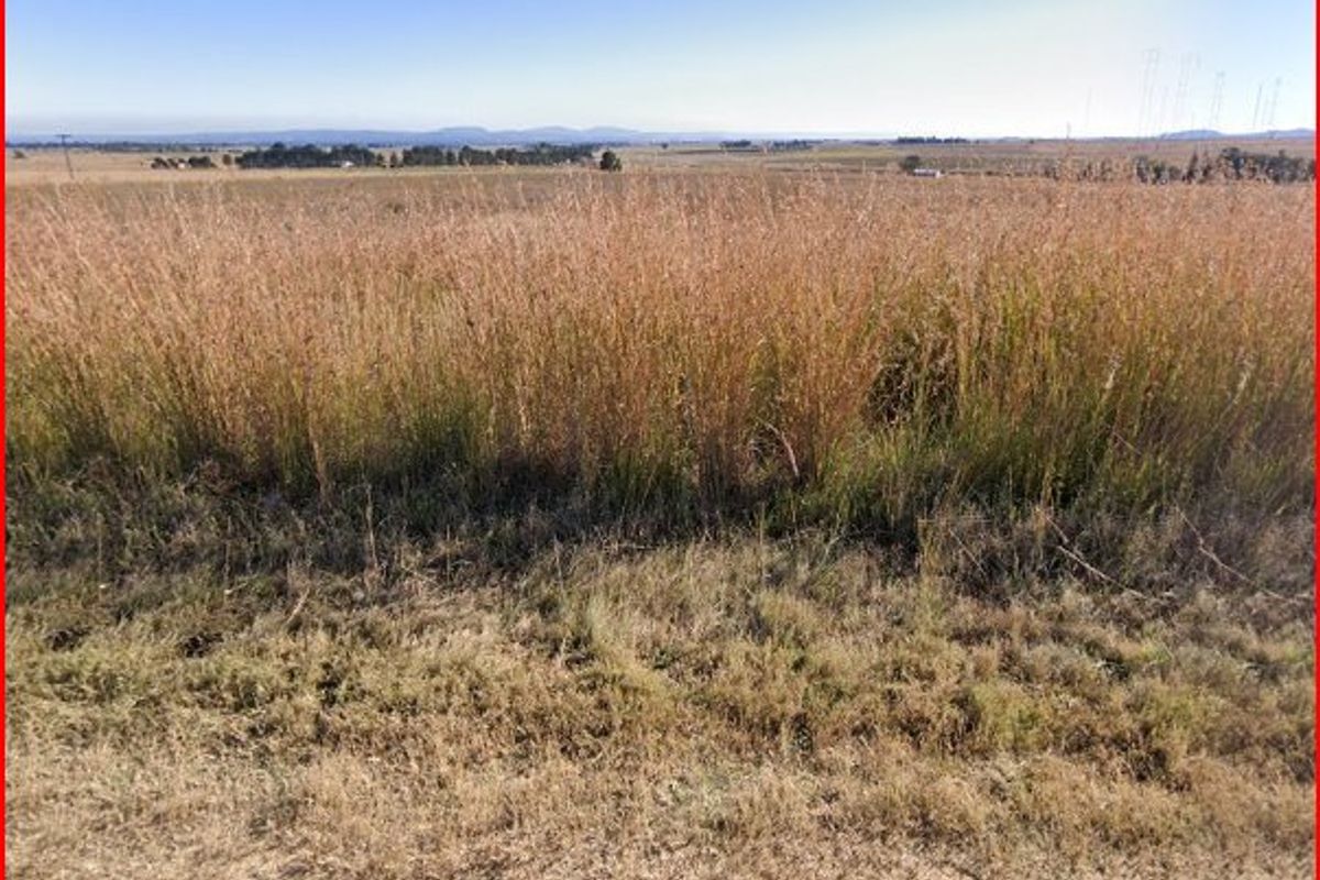 Perfectly situated eight and a half hectare vacant land on the R42. - Photo 4