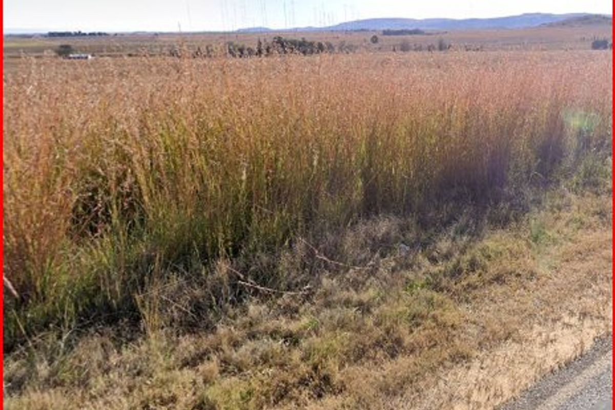 Perfectly situated eight and a half hectare vacant land on the R42. - Photo 2