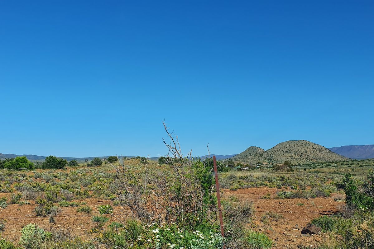 Spectacular Karoo, come stay in Willowmore - Photo 3