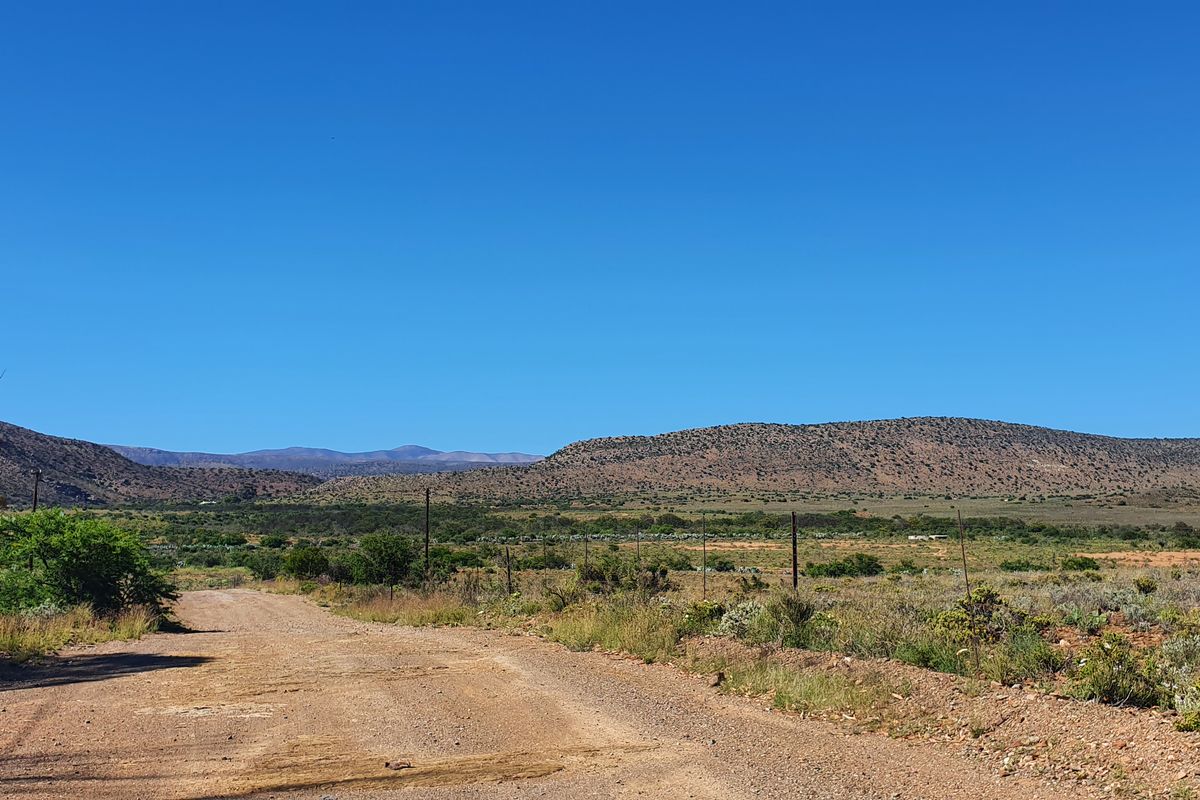 Spectacular Karoo, come stay in Willowmore - Photo 4