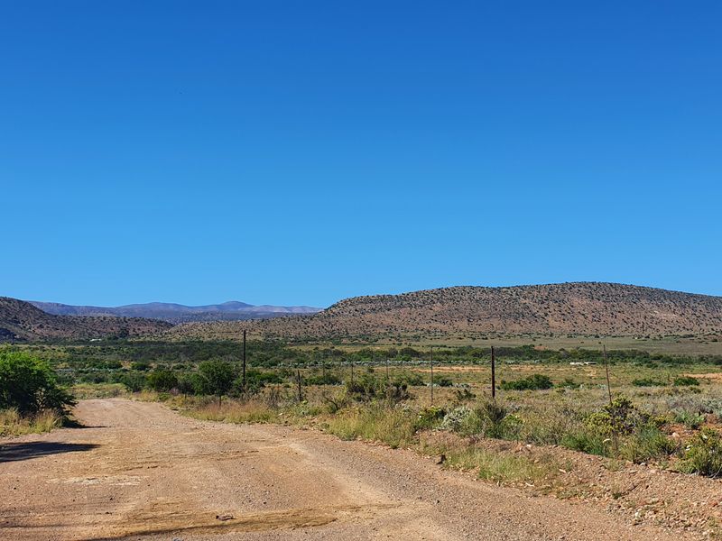 Spectacular Karoo, come stay in Willowmore - Photo 4