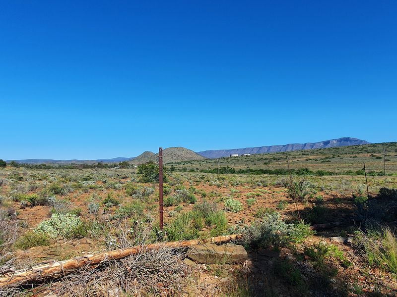 Spectacular Karoo, come stay in Willowmore - Photo 7