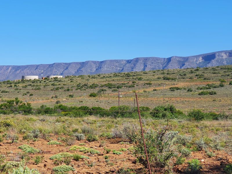 Spectacular Karoo, come stay in Willowmore - Photo 6