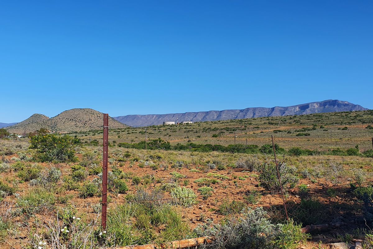 Spectacular Karoo, come stay in Willowmore - Photo 5