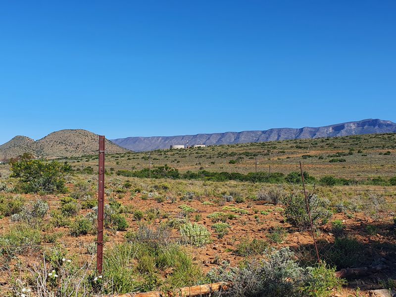 Spectacular Karoo, come stay in Willowmore - Photo 5