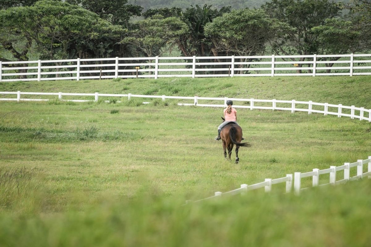 Immaculate land in Seaton Estate - Photo 3