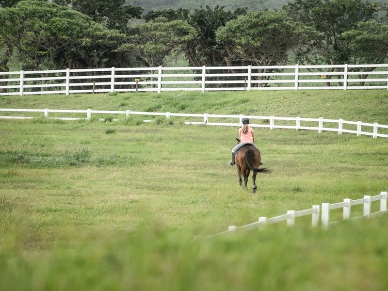 Immaculate land in Seaton Estate - Photo 3