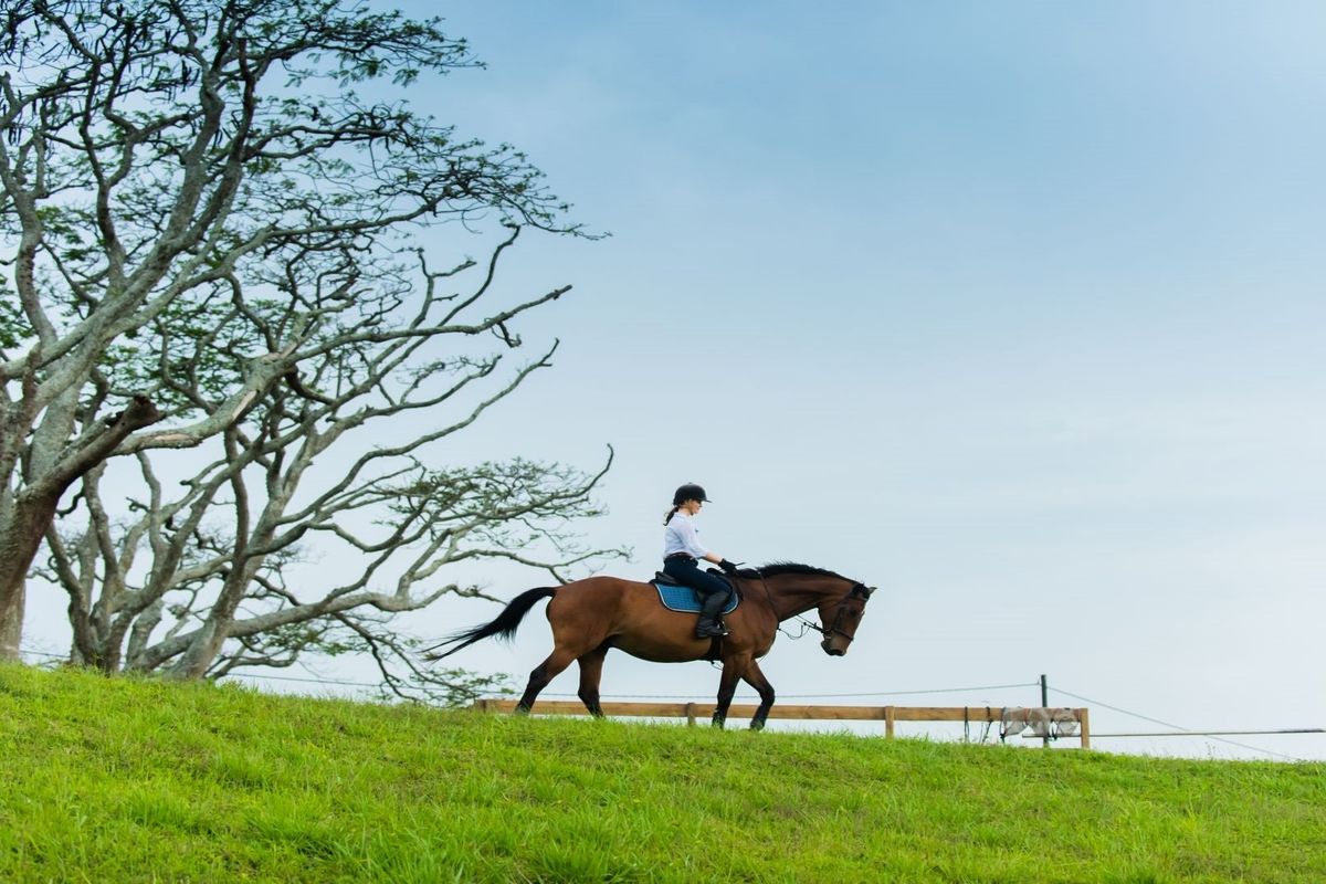 Immaculate land in Seaton Estate - Photo 5