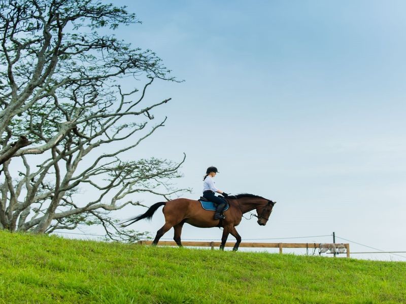 Immaculate land in Seaton Estate - Photo 5