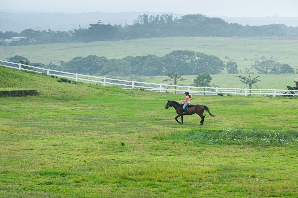Immaculate land in Seaton Estate - Photo 4