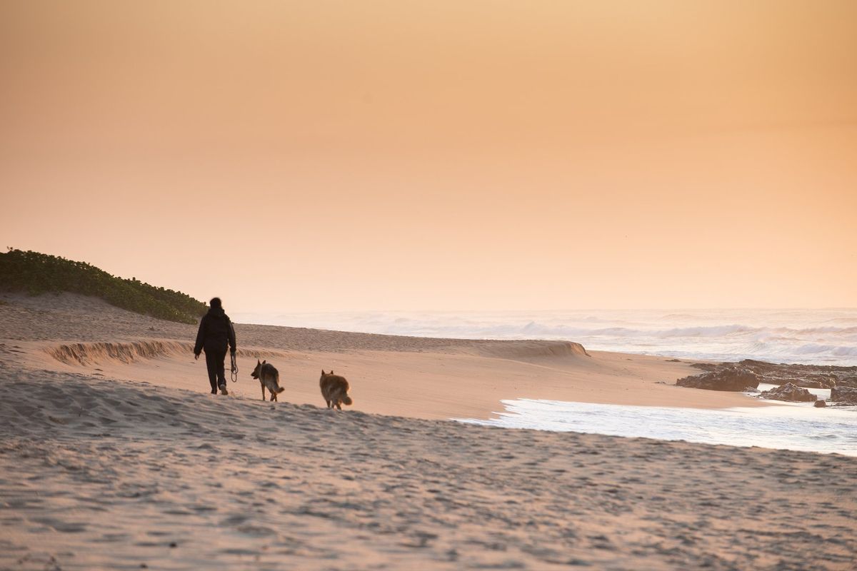 Vacant land in Seaton Estate with no transfer duties - Photo 4