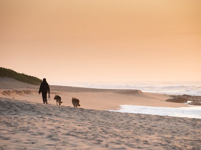 Vacant land in Seaton Estate with no transfer duties - Photo 4