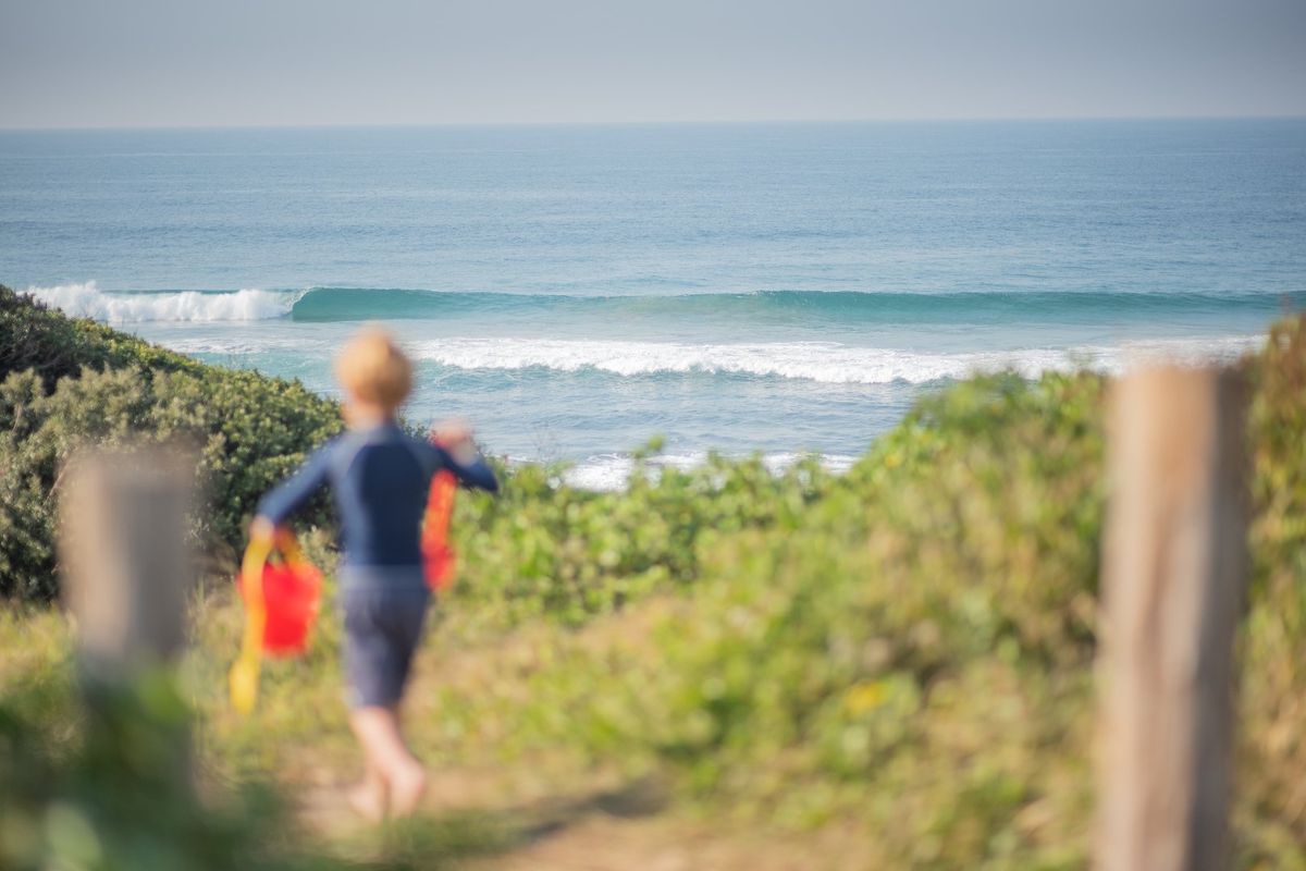 Vacant land in Seaton Estate with no transfer duties - Photo 5