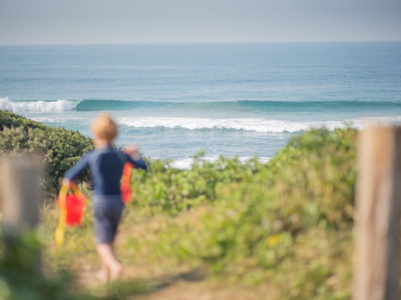 Vacant land in Seaton Estate with no transfer duties - Photo 5
