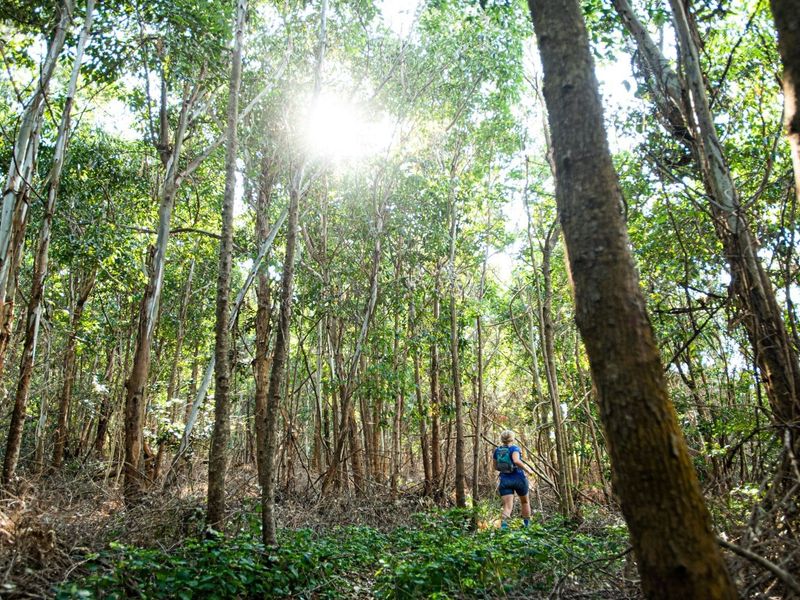 Vacant land in Seaton Estate with no transfer duties - Photo 7