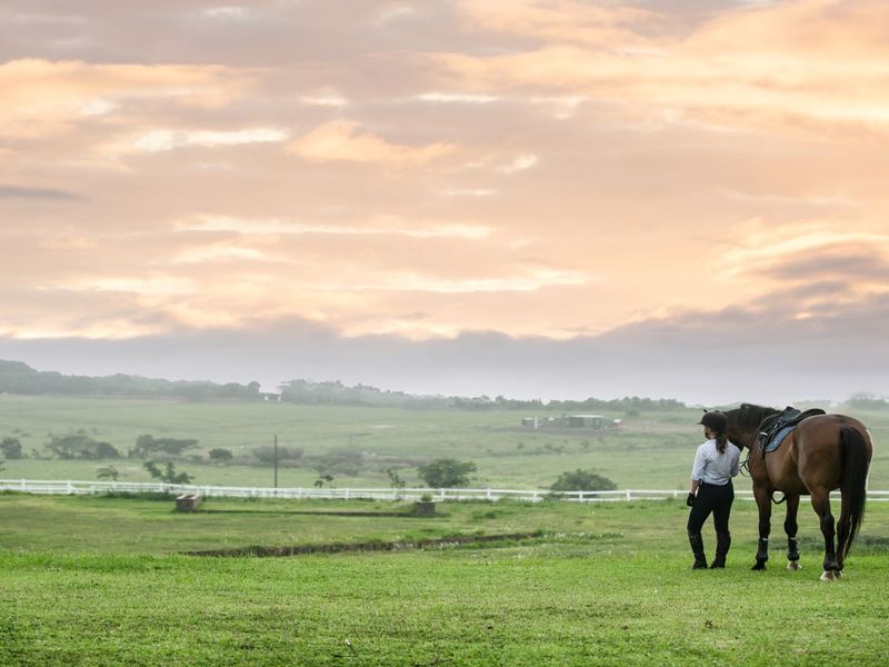 Buy land direct from the developer, no transfer fees - Photo 9