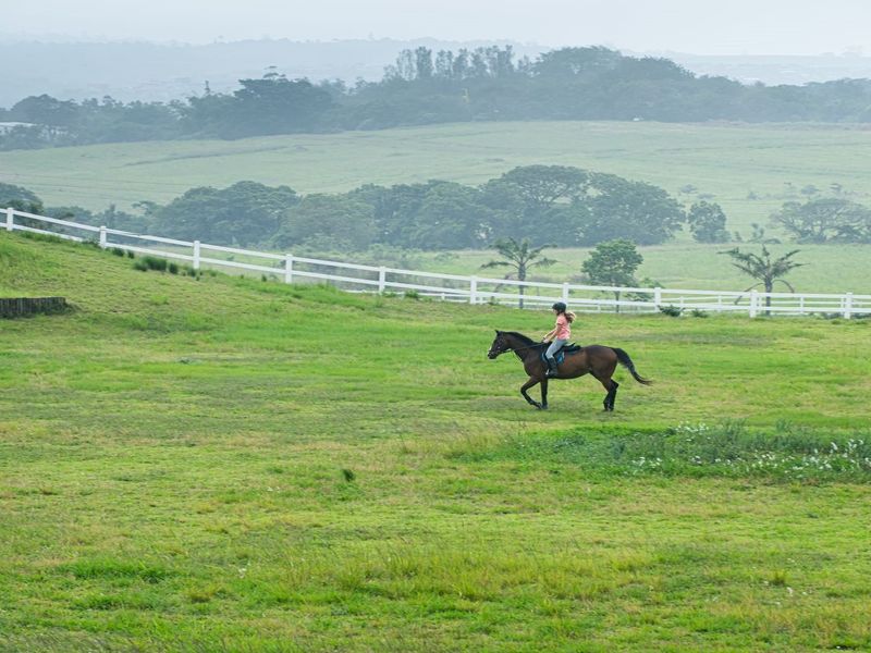 Buy land direct from the developer, no transfer fees - Photo 8