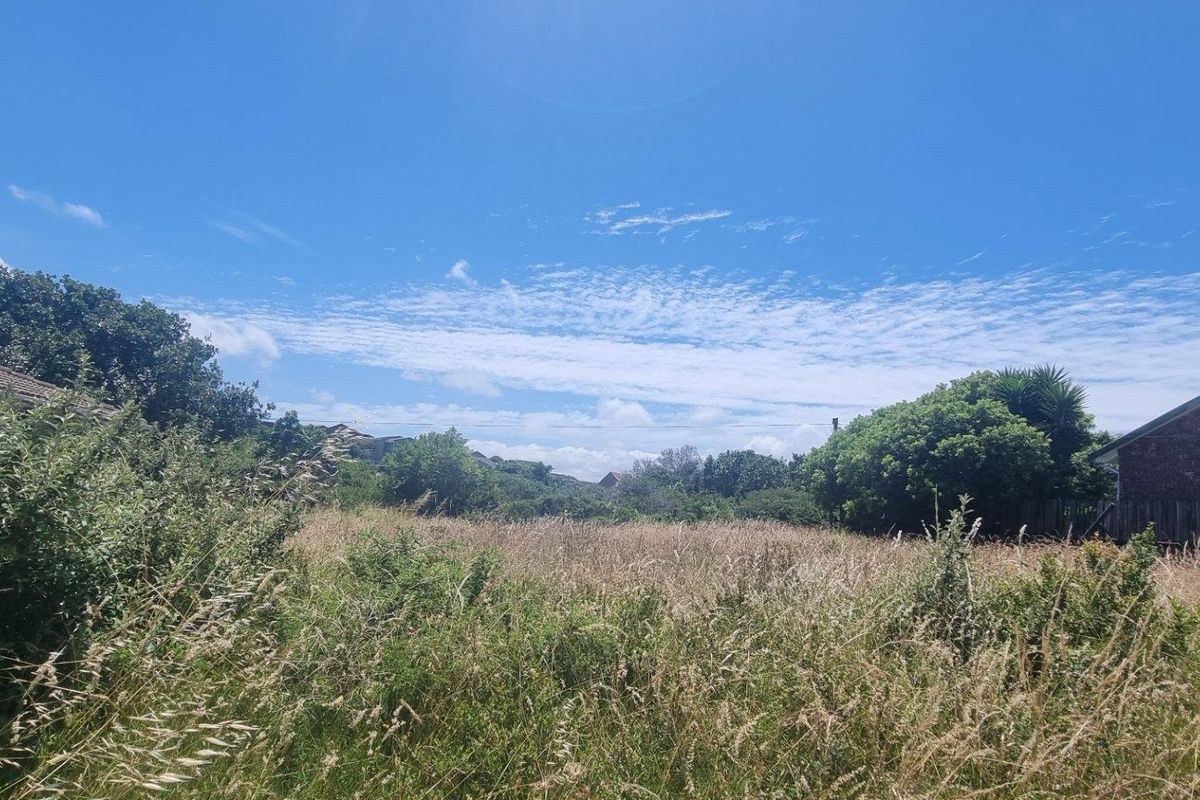A vacant residential plot featuring overgrown grass and natural vegetation, situated between existing brick residential properties.