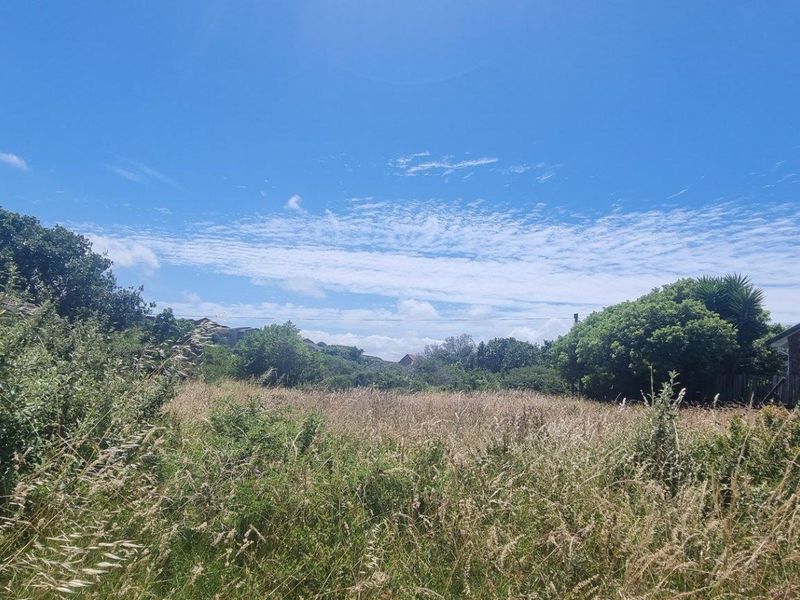 A vacant residential plot featuring overgrown grass and natural vegetation, situated between existing brick residential properties.