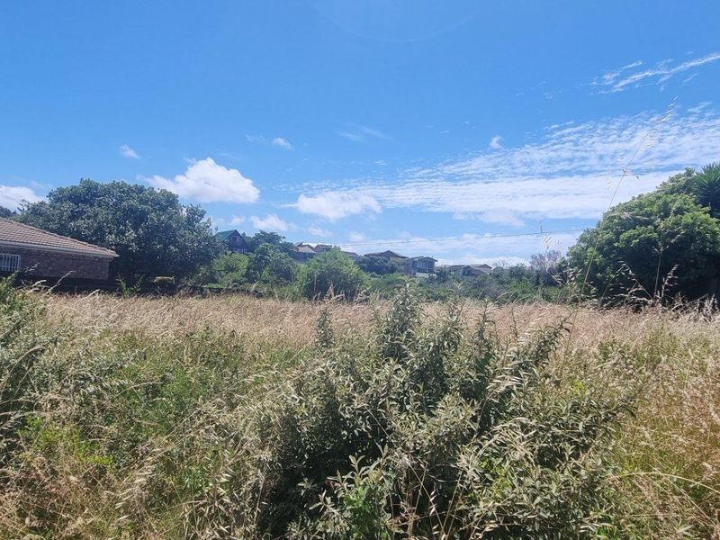 A vacant residential plot featuring overgrown grass and natural vegetation, situated between existing residential properties in a suburban neighborhood.