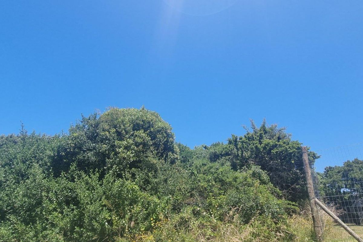 A view of a residential plot featuring dense mature vegetation and perimeter wire fencing.