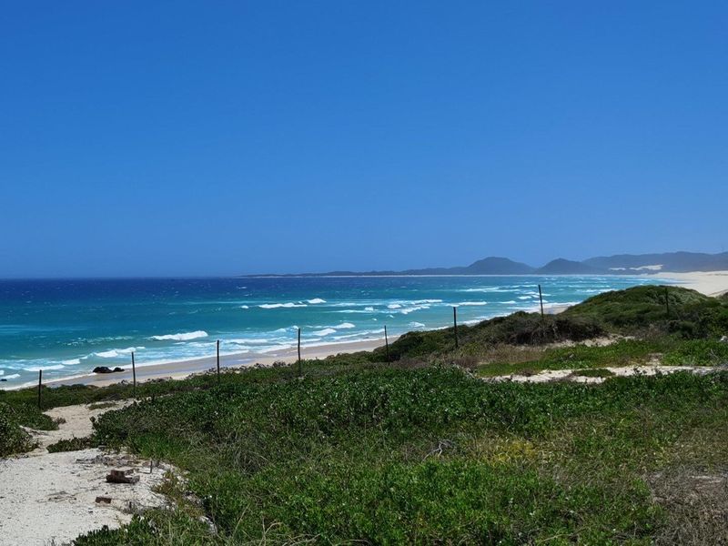 A scenic view of the coastline featuring pristine beach, ocean waves, and natural dune vegetation.