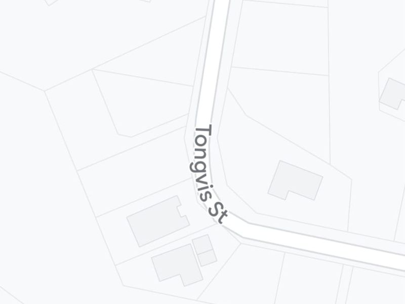 A digital map view showing the location of the vacant residential land plot on Tongvis Street.