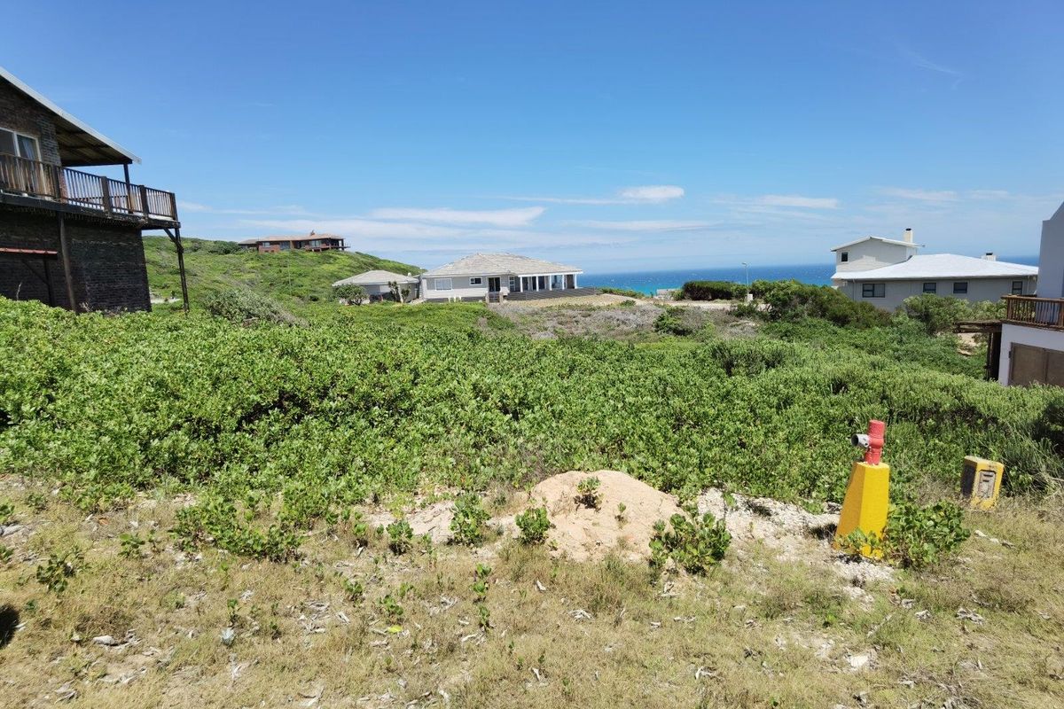 A view of the coastal residential landscape featuring native vegetation and surrounding properties with ocean views.