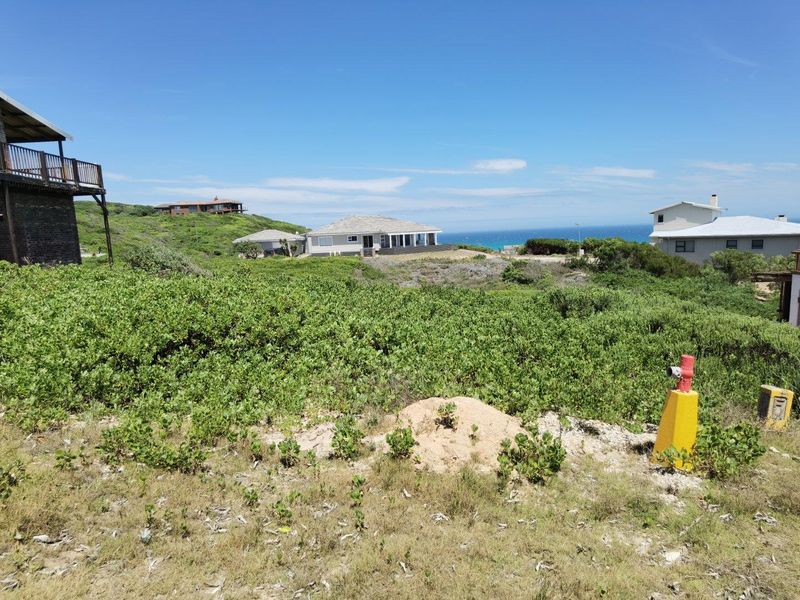A view of the coastal residential landscape featuring native vegetation and surrounding properties with ocean views.