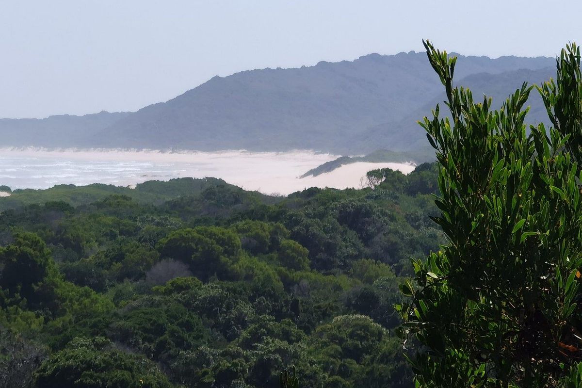 Best of Both, Sea and Landscape Views! - Photo 5