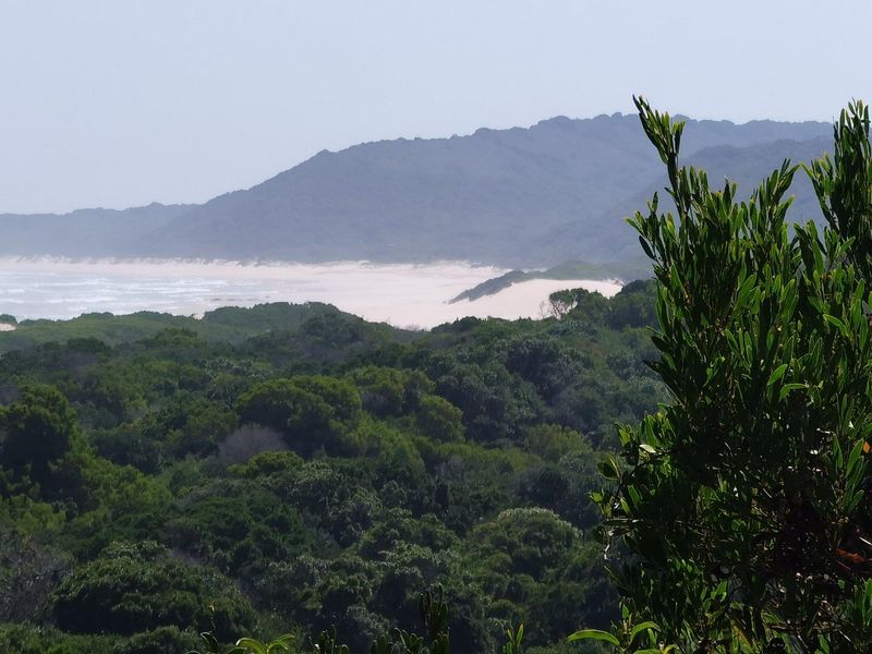 Best of Both, Sea and Landscape Views! - Photo 5