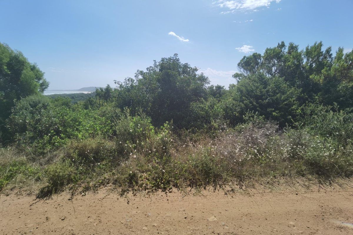 Best of Both, Sea and Landscape Views! - Photo 3