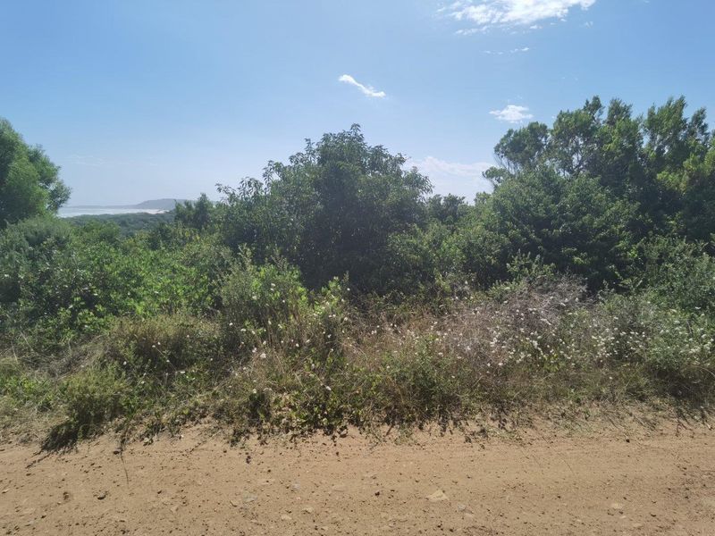 Best of Both, Sea and Landscape Views! - Photo 3