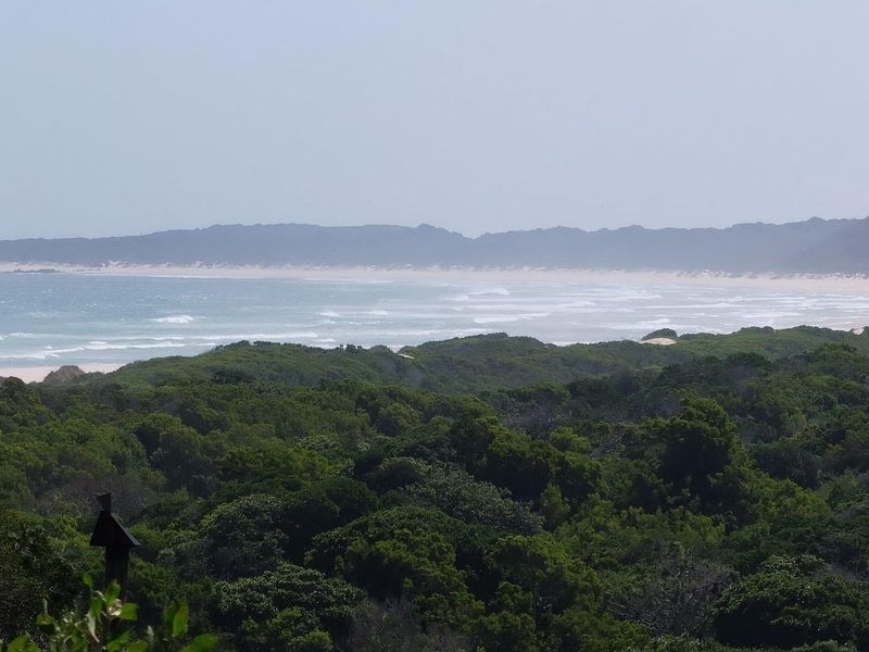 Best of Both, Sea and Landscape Views! - Photo 6