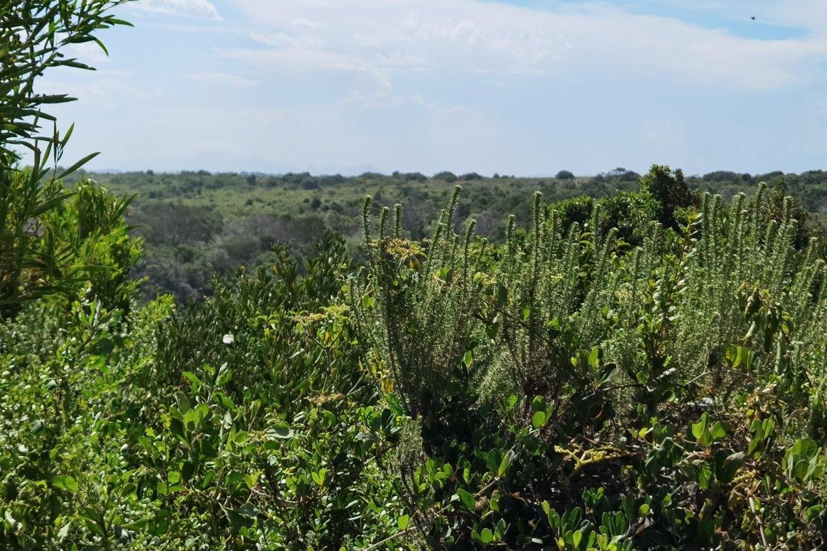 Best of Both, Sea and Landscape Views! - Photo 2