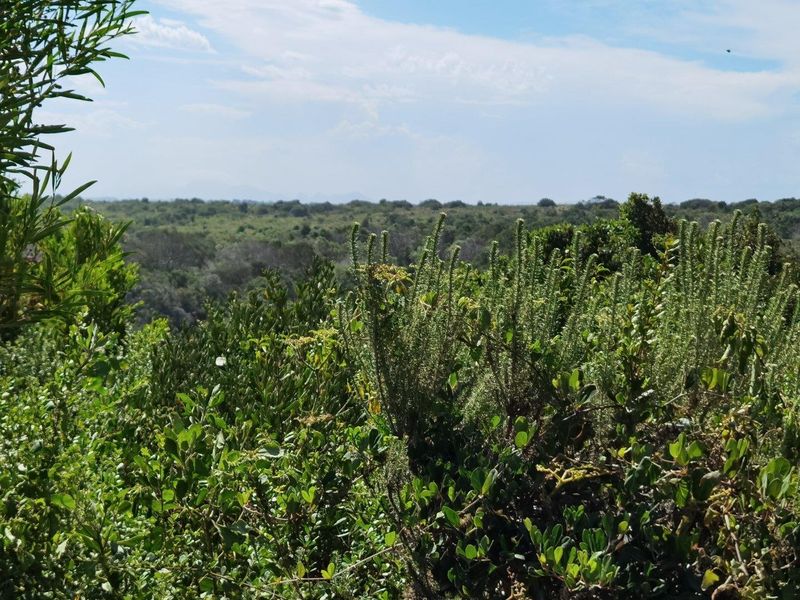 Best of Both, Sea and Landscape Views! - Photo 2