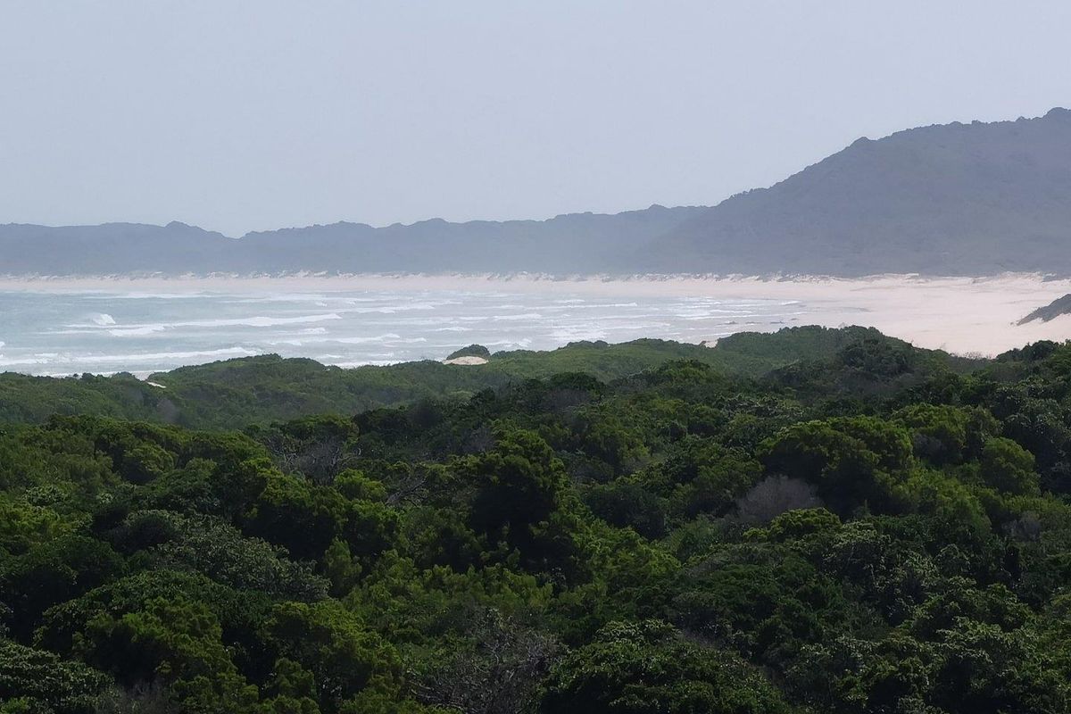 Best of Both, Sea and Landscape Views! - Photo 4