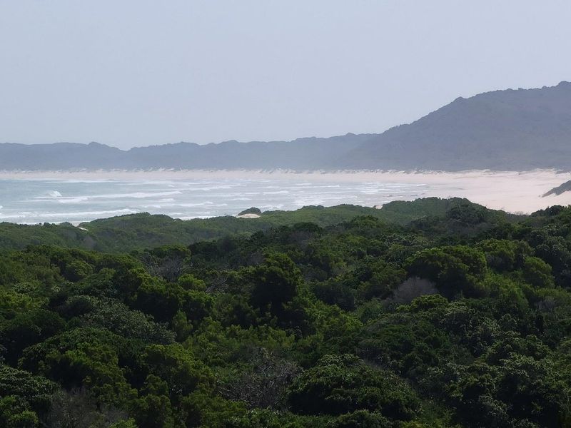 Best of Both, Sea and Landscape Views! - Photo 4