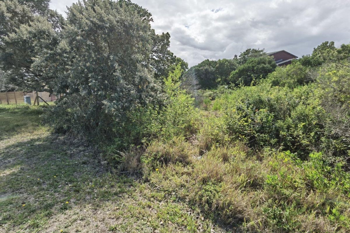 A view of the vacant residential land featuring established trees and dense natural vegetation.