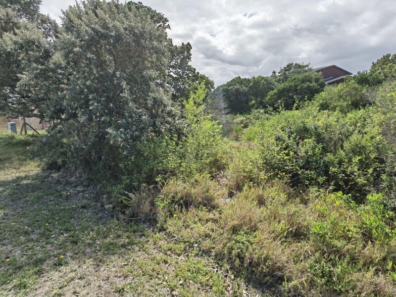 A view of the vacant residential land featuring established trees and dense natural vegetation.