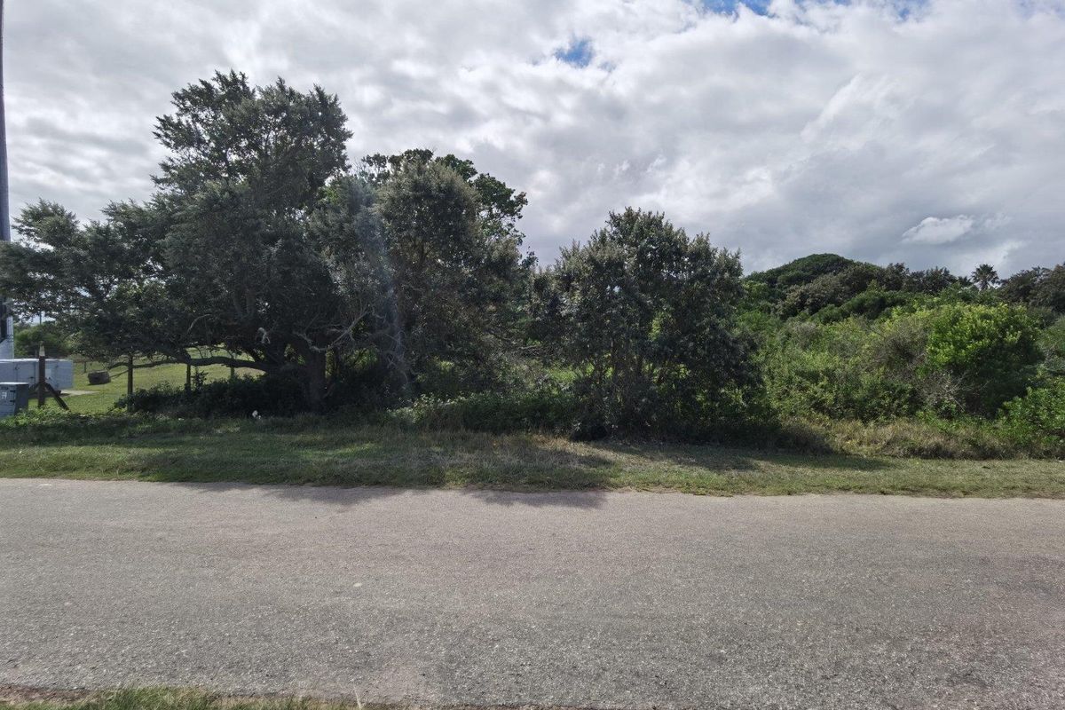 A view of the vacant residential land from the street, featuring established trees and natural vegetation on the plot.