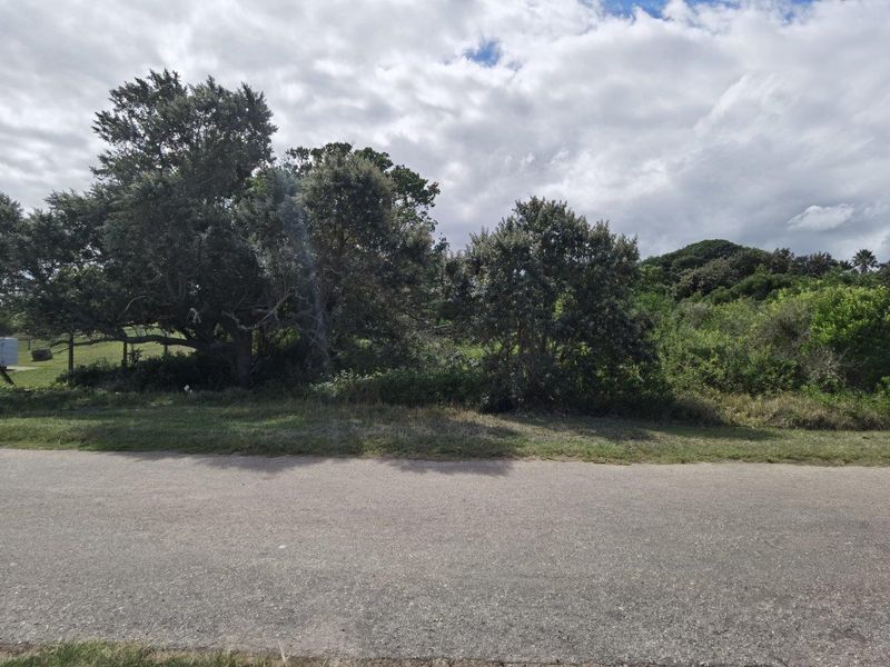 A view of the vacant residential land from the street, featuring established trees and natural vegetation on the plot.