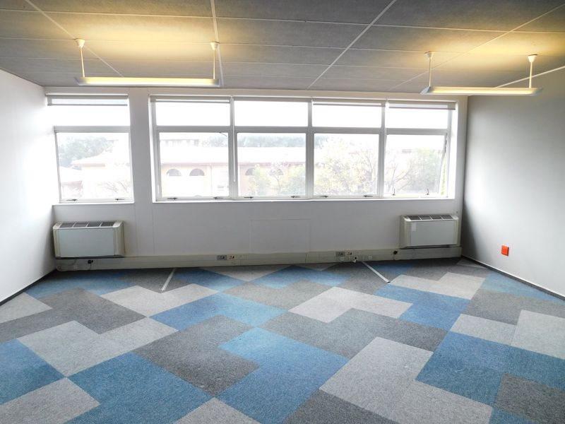 A bright, empty office space featuring large windows, suspended ceiling with integrated lighting, HVAC units, and patterned carpet tiles.