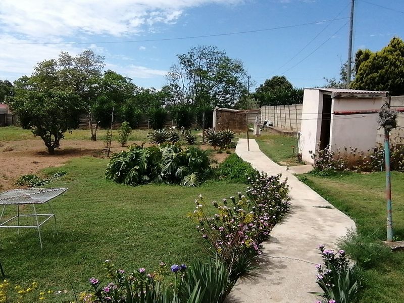 A spacious backyard garden featuring a concrete pathway, established lawn, perimeter boundary walls, and a small utility outbuilding.