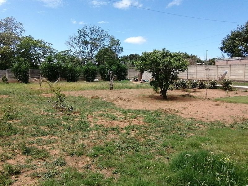 A spacious, open backyard area featuring a perimeter wall and established trees, offering significant potential for landscaping and outdoor development.